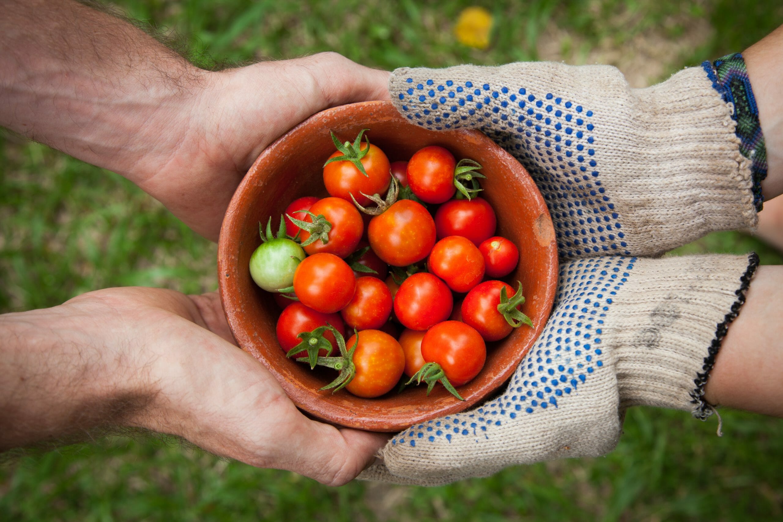 Avantages de l'achat d'aliments locaux, saisonniers et durables